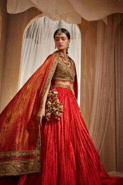 Red Crinkled Lehenga Set -Lillys Clothing Shop HOE6 10 22 1407copy 1800x1800 8fb649f2 32a0 44f0 b0b0 44ec98baabc2