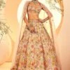 Ivory Aplique Lehenga