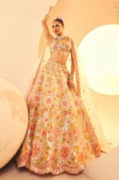 Ivory Aplique Lehenga -Lillys Clothing Shop IMG 2876