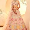 Grey Multi Circles Lehenga