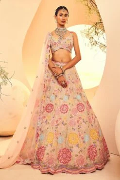 Grey Multi Circles Lehenga