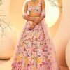 Blush Lehenga -Lillys Clothing Shop IMG 3078
