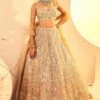 Gold On Gold Foil Lehenga -Lillys Clothing Shop IMG 3378