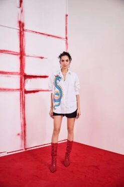 Dragon Shirt With Shorts Fill Set