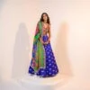 Indica Lehenga With A Hand Embroidered Corset