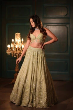 Pistachio Green Lehenga -Lillys Clothing Shop KR3 2230