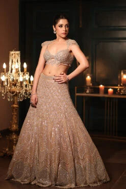 Chrome Lehenga 9 Chrome Lehenga -Lillys Clothing Shop KR3 2638