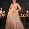 Chrome Lehenga 11 Chrome Lehenga -Lillys Clothing Shop KR3 2673