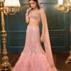 Pink Feather Fishcut Lehenga -Lillys Clothing Shop KR3 9503