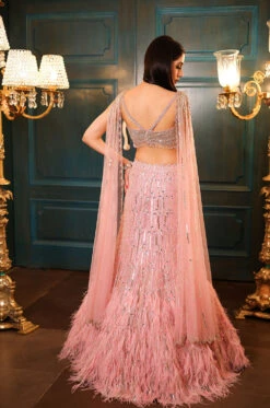 Pink Feather Fishcut Lehenga -Lillys Clothing Shop KR3 9537