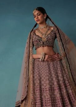 Petal Pink Bridal Lehenga And Blouse Set With 3D Embroidery -Lillys Clothing Shop Ka141