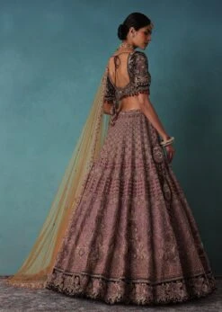 Petal Pink Bridal Lehenga And Blouse Set With 3D Embroidery -Lillys Clothing Shop Ka144