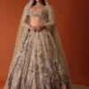Wheat Gold 16 Kali Bridal Lehenga In Net With 3D Embroidery -Lillys Clothing Shop Kal334