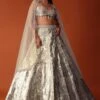 Gold Foil Embroidered Bridal Lehenga Set In Organza -Lillys Clothing Shop Kal373