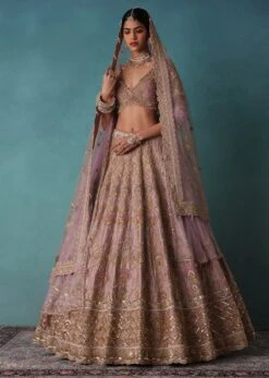 Bloom Pink Bridal Lehenga In Raw Silk With Hand Embroidery -Lillys Clothing Shop Kal427
