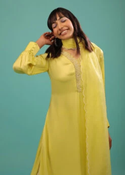 Lime Yellow Bemberg Silk A Line Suit In Organza -Lillys Clothing Shop Kalki1892