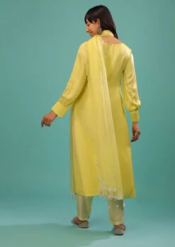 Lime Yellow Bemberg Silk A Line Suit In Organza -Lillys Clothing Shop Kalki1893