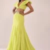 Sheen Green Paneled Lengha And Blouse With Elaborated Sleeves In Crepe -Lillys Clothing Shop Kalki2348