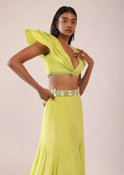 Sheen Green Paneled Lengha And Blouse With Elaborated Sleeves In Crepe -Lillys Clothing Shop Kalki2350