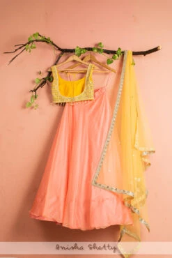 Melon Orange Organza Lehenga With Pineapple Yellow Mirrorwork Blouse & Dupatta -Lillys Clothing Shop LAS314BACK 1024x1024 2362a4c1 d677 4a92 b64f 3552eea8da06