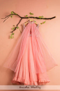 Watermelon Pink Organza Lehenga With Mirrorwork Blouse & Neck Dupatta -Lillys Clothing Shop LAS316BACK 2 1024x1024 ca819636 cbe0 4bab ad65 20105a0b3fb1