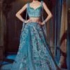 Blue Feather Embroidered Lehenga -Lillys Clothing Shop LC22 011