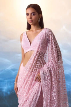 Pink Net Saree -Lillys Clothing Shop LOOK 01 1245 720x c1c1cdc5 8874 4adf 92da e1fce8ce9272