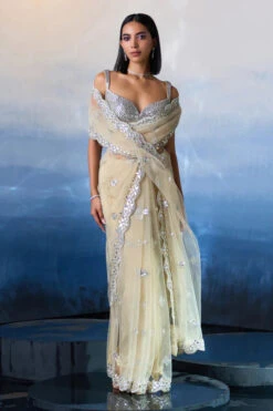 Gold Net Saree -Lillys Clothing Shop LOOK 09 2097 720x 7284a492 3293 444c b4ab 5b27a2c1d8b7