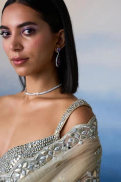 Gold Net Saree -Lillys Clothing Shop LOOK 09 4154 720x d6d6f9c4 00e2 46e9 83a0 9583492d8ca5