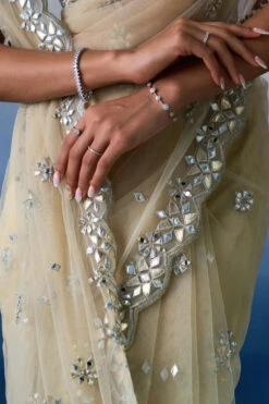 Gold Net Saree -Lillys Clothing Shop LOOK 09 4156 720x 3b0c3531 2479 4f13 8d99 4a82b27a956f