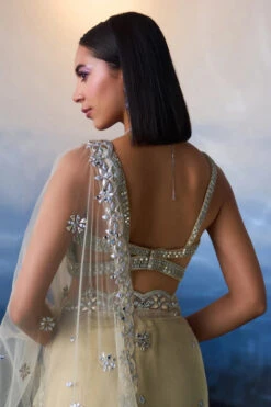 Gold Net Saree -Lillys Clothing Shop LOOK 09 4166 720x c203e2d2 0b35 4053 a6c5 df55c23bc7f0