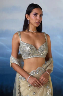 Gold Net Saree -Lillys Clothing Shop LOOK 09 4176 720x 904598f6 e9bd 4137 ba3f 0d7ecbca6bb1