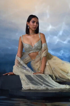 Gold Net Saree -Lillys Clothing Shop LOOK 09 5206 720x 2816b5c2 9982 479c 8188 92421b02189e