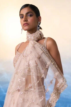 Rose Gold Net Saree -Lillys Clothing Shop LOOK 12 4995 720x fd4131a0 16ea 4965 8cf7 46a5efeaffeb