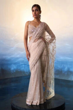 Rose Gold Net Saree -Lillys Clothing Shop LOOK 12 6022 720x e831c3c0 d018 4c39 ab98 0a6e0a9b974f