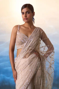 Rose Gold Net Saree -Lillys Clothing Shop LOOK 12 7047 720x c28605a1 5d1f 4d48 b03e 4c6d3d5e346b