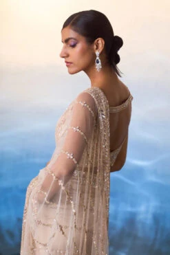 Rose Gold Net Saree -Lillys Clothing Shop LOOK 12 7054 720x 90528670 ed4e 495a 8554 942f0fe5e4b5