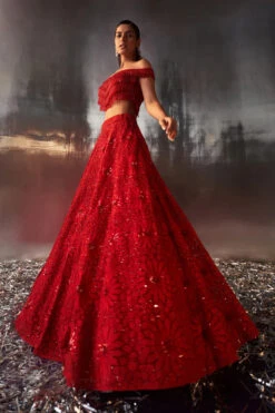 Red Net Lehenga Set Embroidered -Lillys Clothing Shop LOOK 13 4459 720x 516a988c 8ee4 4c0e 8704 9d45f50c9f15
