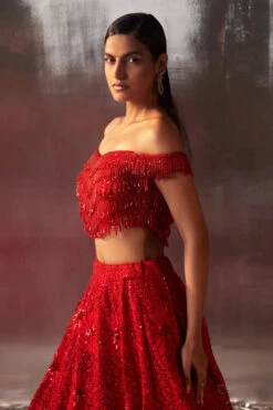 Red Net Lehenga Set Embroidered -Lillys Clothing Shop LOOK 13 5487 720x 3718528a 223f 49eb 8aa3 4972e964e9c3