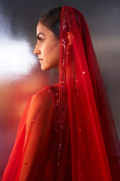 Red Net Lehenga Set -Lillys Clothing Shop LOOK 14 0340 720x 254ec9cd 4fa7 4888 b28b 7f5897560fb4