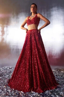 Red Net Lehenga Set -Lillys Clothing Shop LOOK 14 8254 720x 6a6c23e3 fc11 4818 8d53 bc3dbc7b7de8