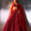 Red Net Lehenga Set