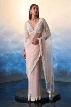 Light Peach Net Saree