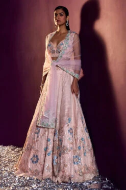 Peach Net Lehenga Set