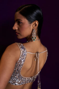 Champagne Organza Lehenga Set -Lillys Clothing Shop LOOK 18 Capture8223 720x 8c22356d 7089 4b03 934b 7310a60699e4