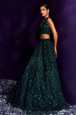 Emerald Green Net Lehenga Set -Lillys Clothing Shop LOOK 20 7600 720x d1378c00 16f6 4520 bd82 55c57f7c4e02