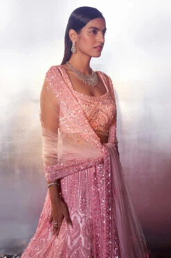 Blush Pink Net Lehenga Set -Lillys Clothing Shop LOOK 21 2055 720x 56e045db 4ac4 4e6d 93e3 3edaa2e265a2