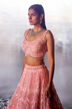 Blush Pink Net Lehenga Set -Lillys Clothing Shop LOOK 21 2067 720x a4748e9b c1c4 4bfe ae4d 9938d75e153d