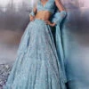 Tiffany Blue Net Lehenga Set -Lillys Clothing Shop LOOK 22 Capture9612 720x aececee3 b3ee 4d13 9ff7 7dca175bac1e