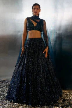 Electric Blue Net Lehenga Set